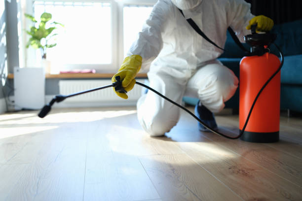 Reliable Odor Removal contractor in Chino, CA by Dulley Family Biohazard Services